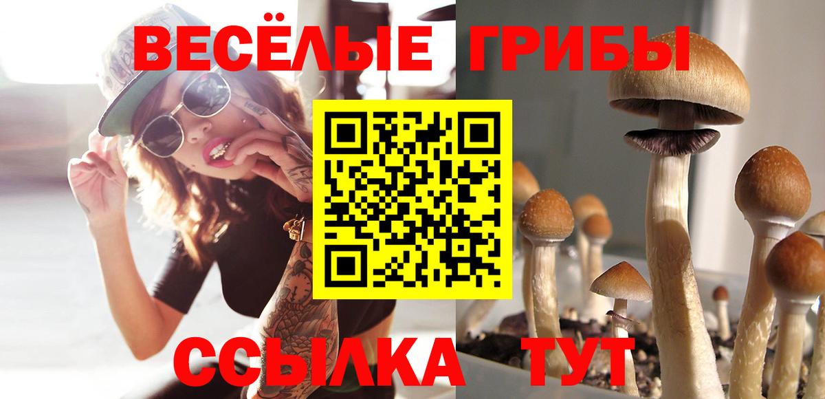 Клин  Галлюциногенные грибы Psilocybe  Вход с VPN  Галлюциногенные грибы ЛСД 